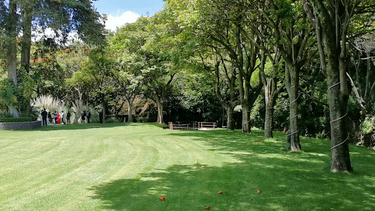 La Antigua Planta San Agustín